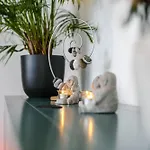 Gruppenhaus Haus Berchstein * Винтерберг